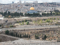 The temple mount